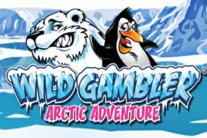 Wild Gambler 2: Arctic Adventure