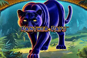 Panther Pays